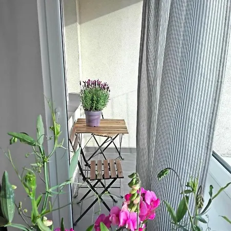 Appartement Sole
